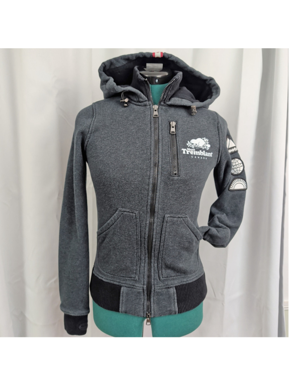 Roots Canada Mt. Tremblant Fleece Lined Zip Up Hoodie